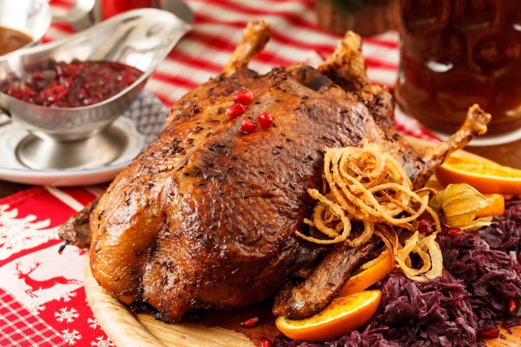 Muscovy Duck