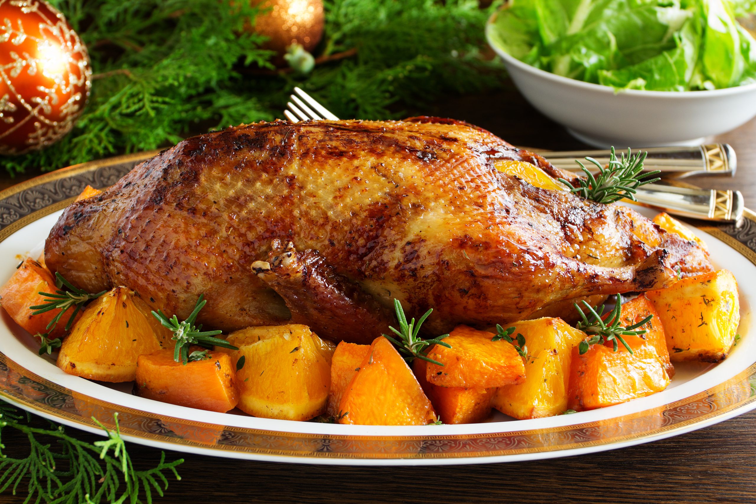 Muscovy Duck - Image 3